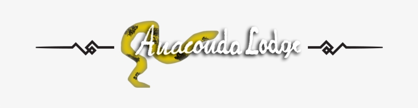 Decoration-1 - Graphic Design, transparent png
