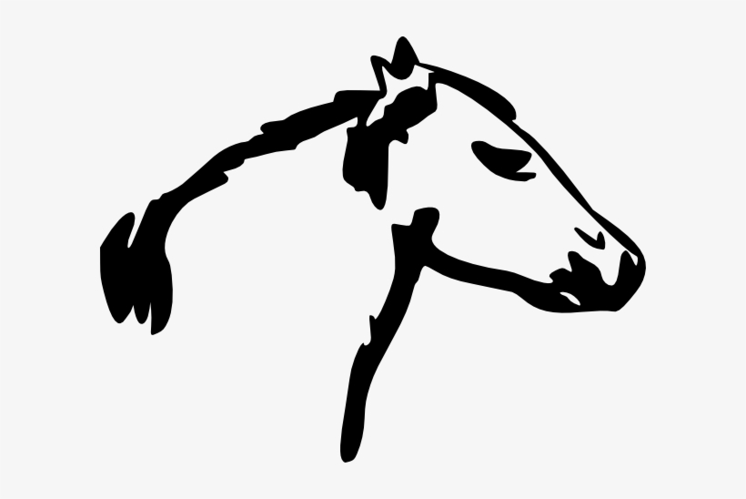 Horse Head Vector Transparent, transparent png