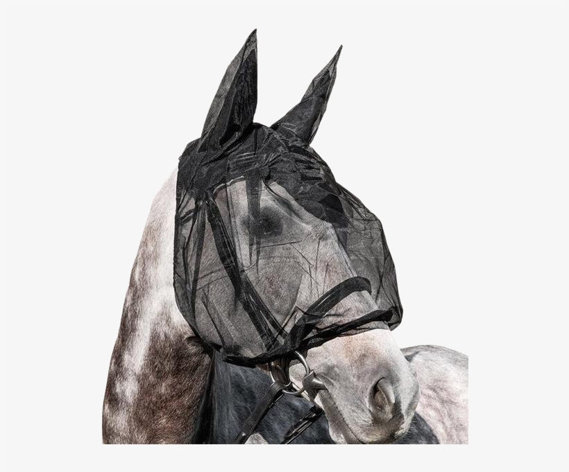 Horse Fly Mask By Equiline - Equiline Fly Mask, transparent png