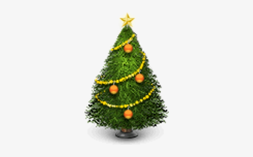Nordmann, Douglas And Noble Fir Christmas Trees Wholesale - Christmas Tree Lot Png, transparent png