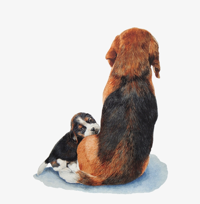 Cute Puppy Beagle And Mum - Niedlicher Welpen-beagle Mit Karte, transparent png