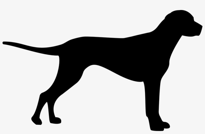 Baby Girl And Pet German Shepherd Dog Relaxing On Farm - Hund Schatten, transparent png