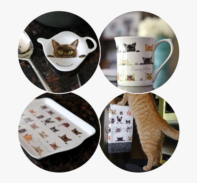 The Attention To Detail In Each Small Kitty Is Really - Tabby Cat, transparent png