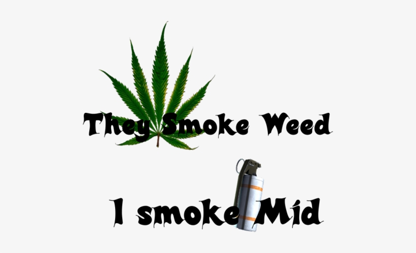 They Smoke Weed, I Smoke Mid - Pot Leaf Square Sticker 3" X 3", transparent png