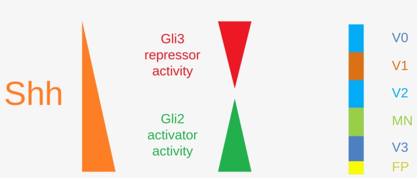 Open - Shh Gli, transparent png