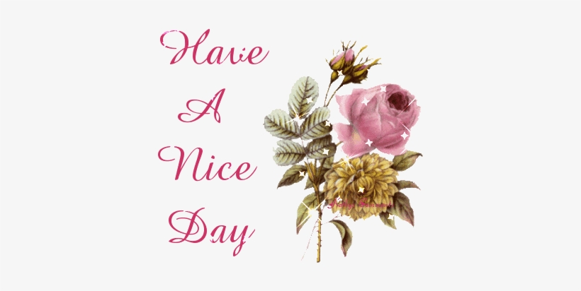 Free Icons Png - Wishes Images Free Download, transparent png