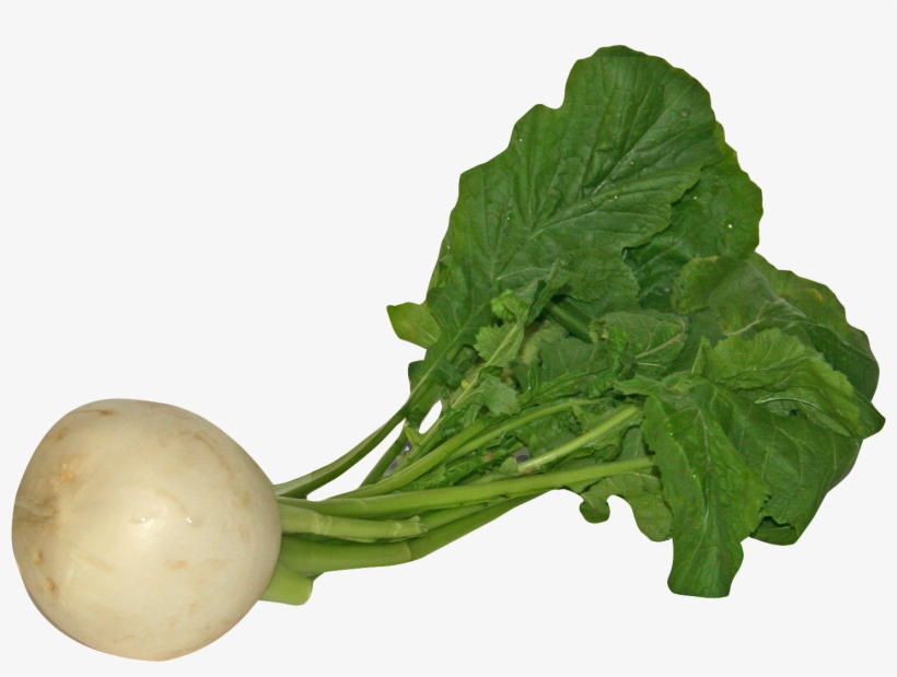 Turnip Png Image1 - Turnip Png, transparent png
