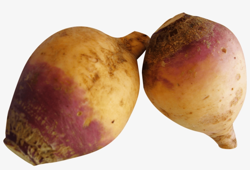 Vegetables - Rutabagas Png, transparent png