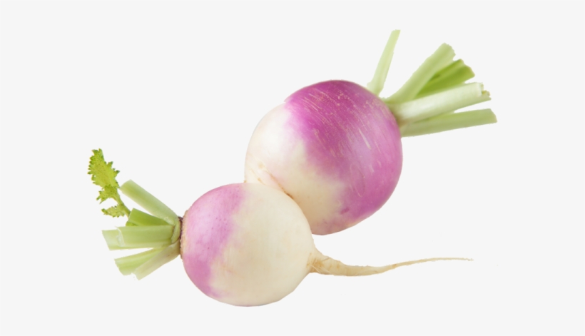 Shalgam Png, transparent png