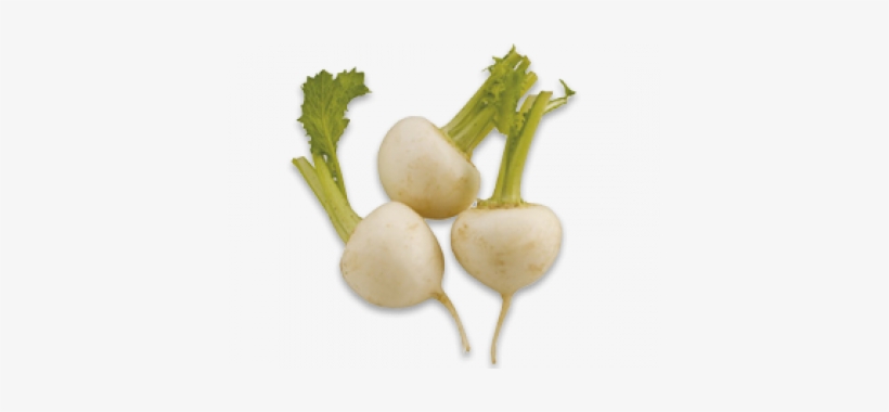 Turnips - Leaf Vegetable, transparent png