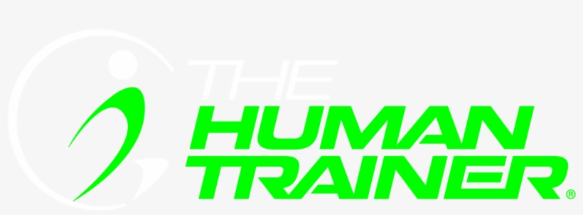 300x 250 Olympic Rings - Human Trainer Suspension Gym- Handles, transparent png