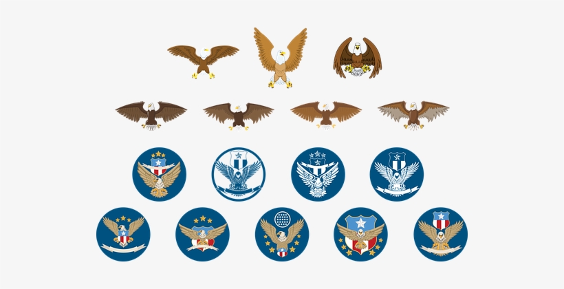 Eagle Logo Icon Animal Design Emblem Logot - โลโก้ นก อินทรีย์, transparent png