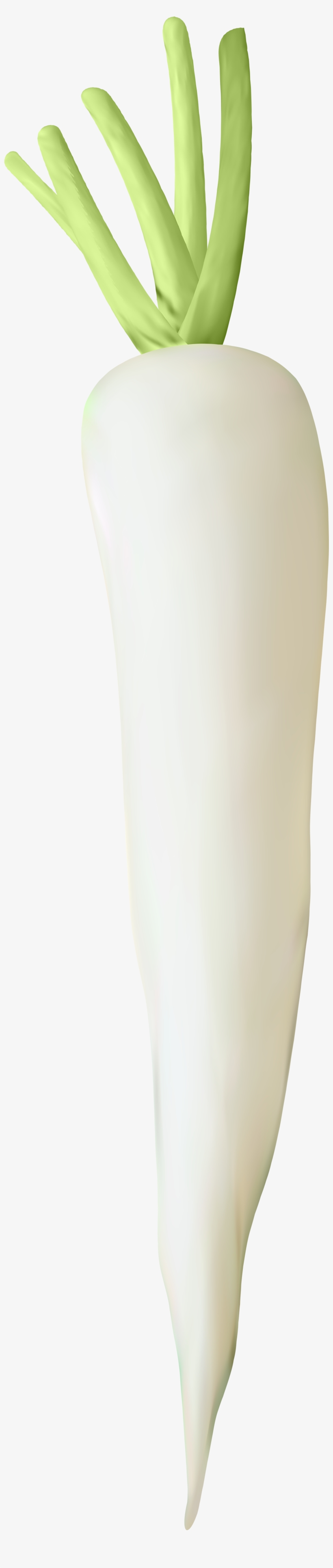 View Full Size - Tights, transparent png