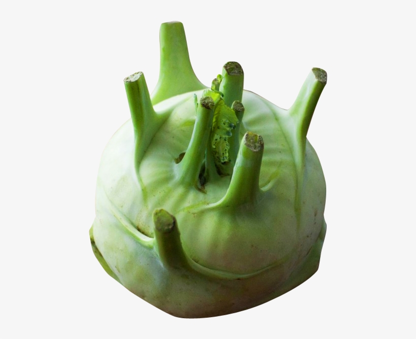 530 X 634 - Vegetable, transparent png