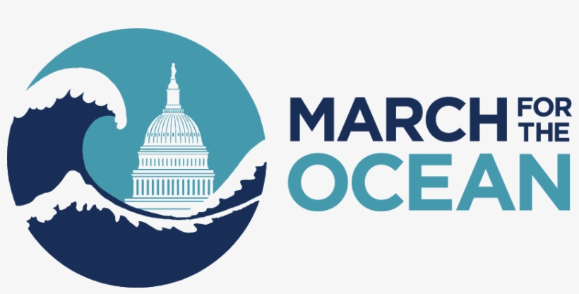 Bare Tree Media Inc., transparent png