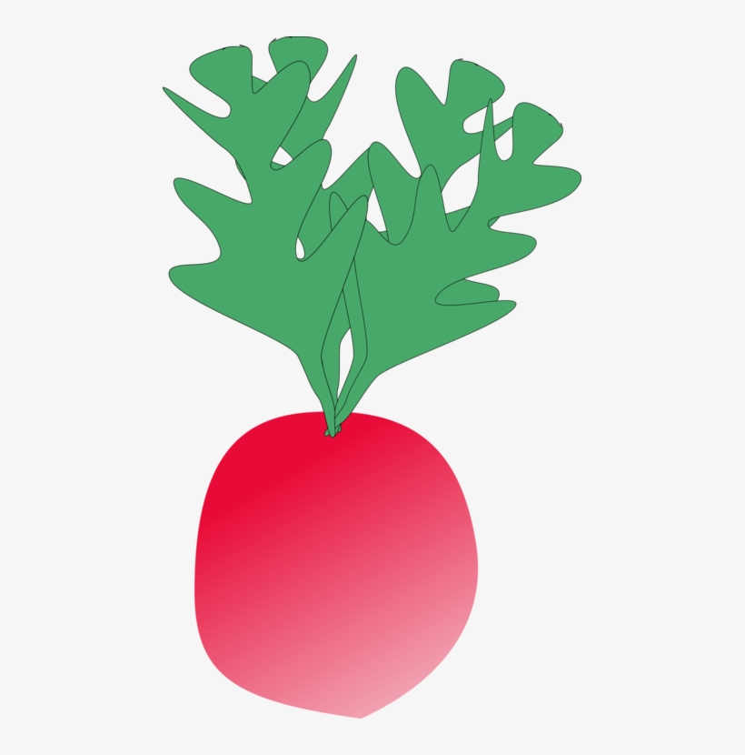 Radish Vegetable Turnip Food Thumbnail - Radish Clip Art, transparent png