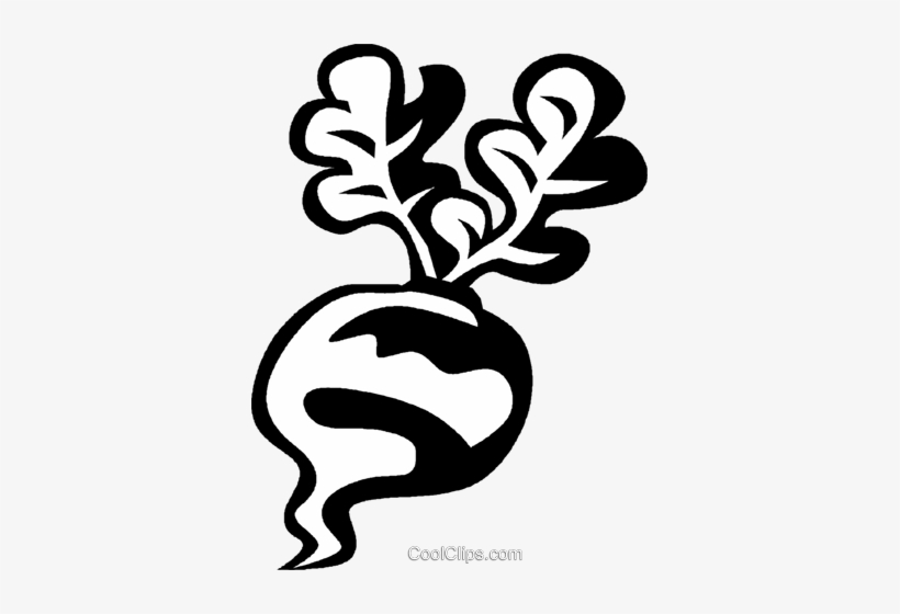 Turnip Royalty Free Vector Clip Art Illustration - Flannery O'connor, transparent png