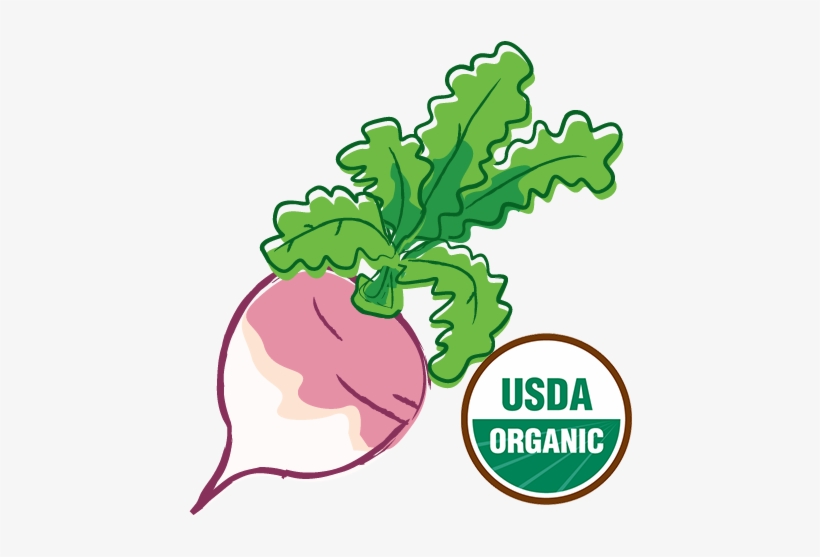Organic-turnip - Alteya Organics Alteya's Certified Organic Bulgarian, transparent png