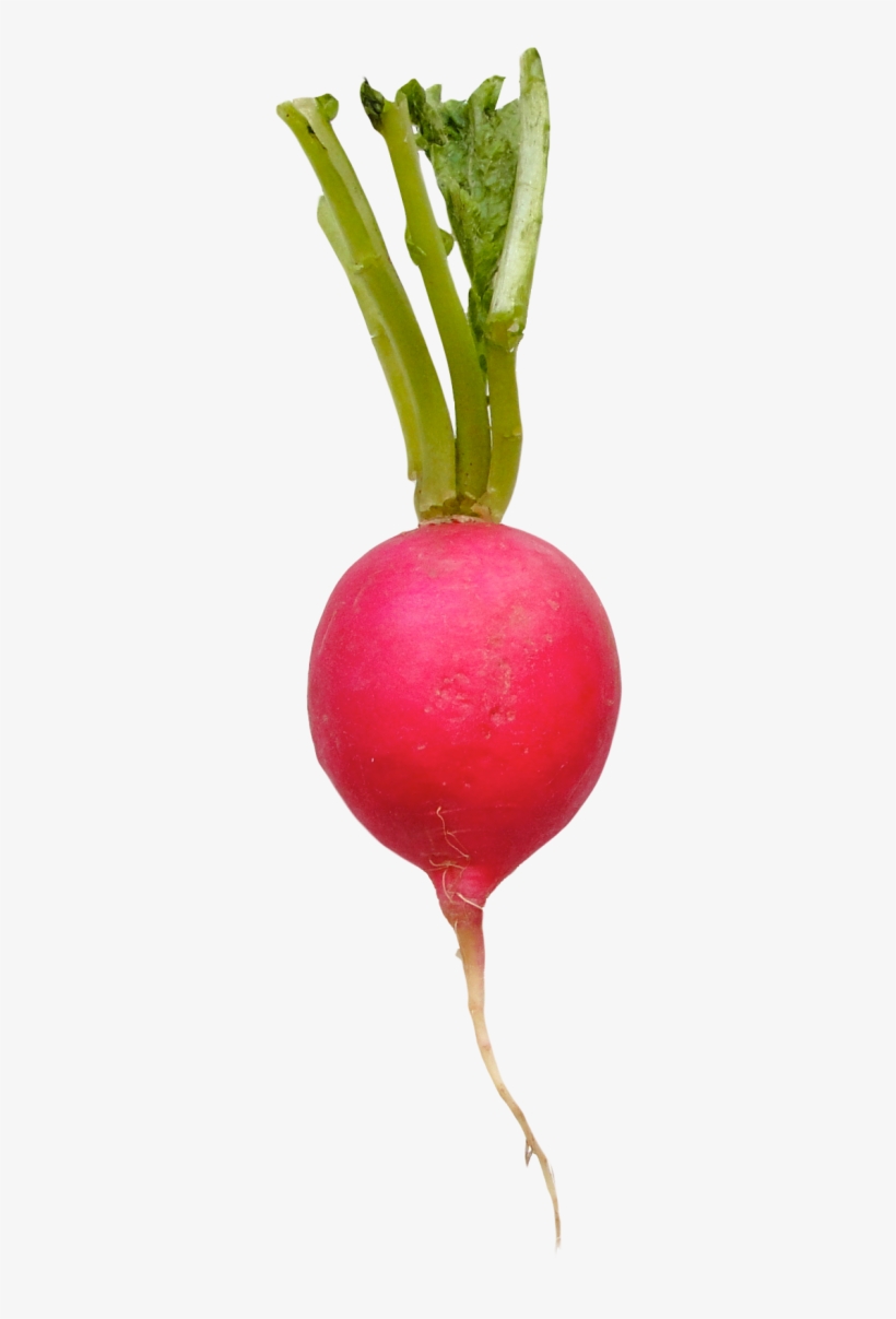 Radish Transparent Images Png - Radish Png, transparent png