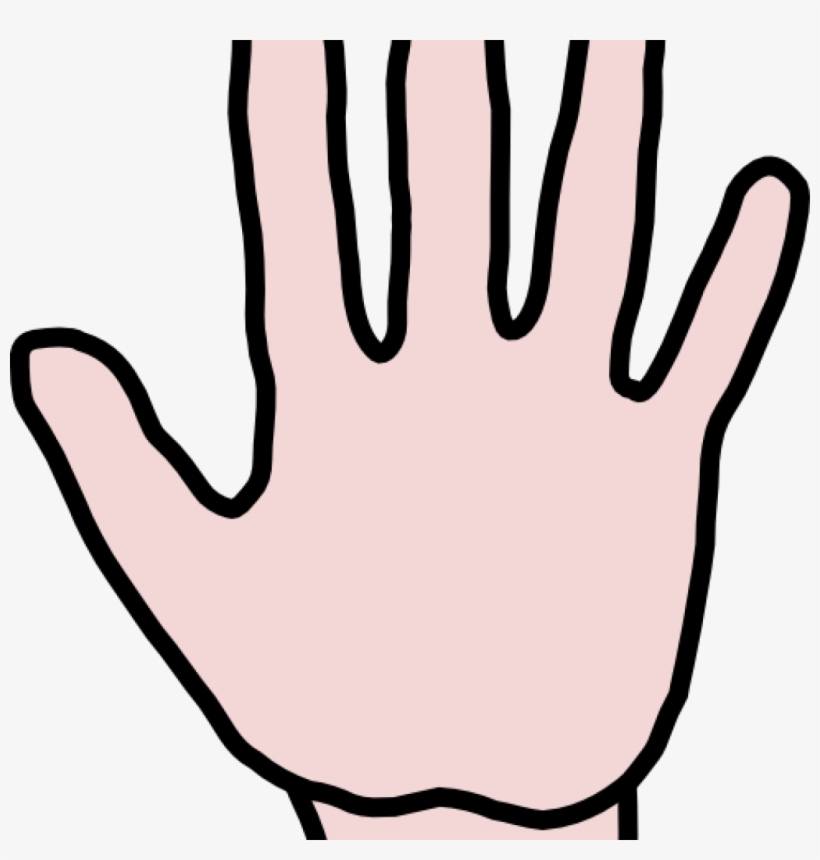 Free Hands Camera Hatenylo Com Clip Art - Clip Art, transparent png