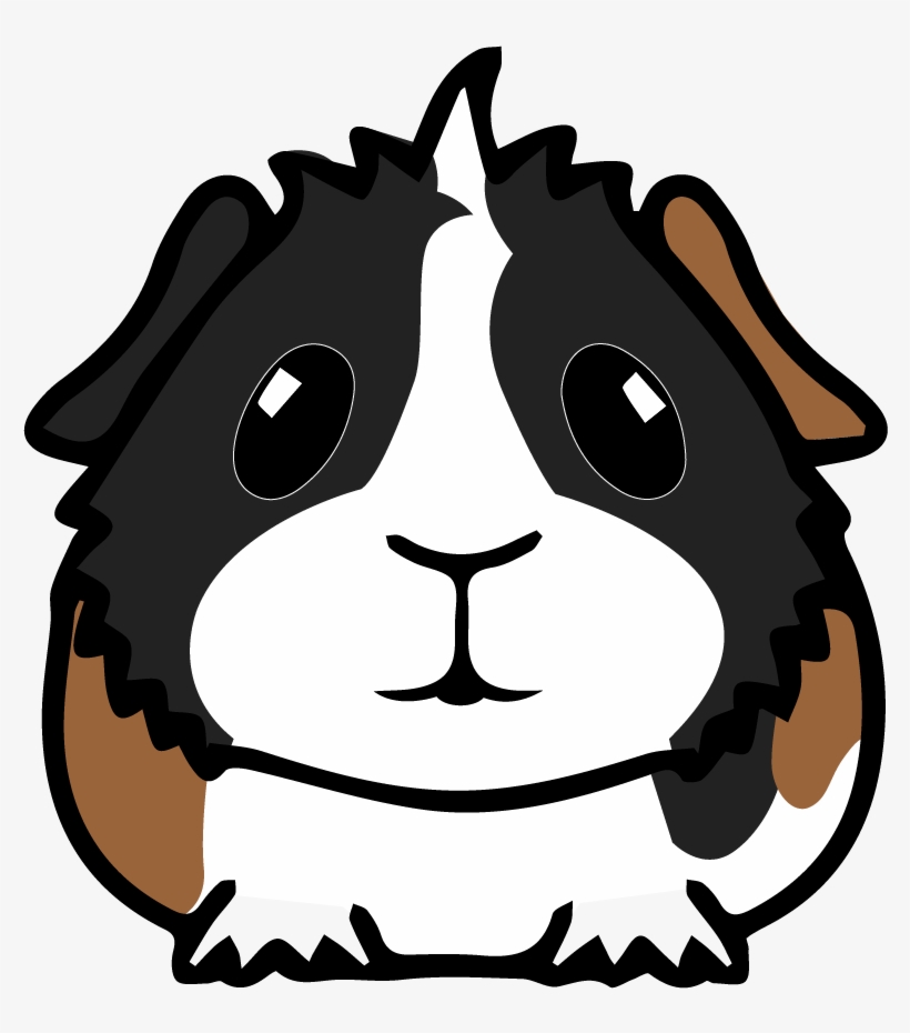 Clip Art, transparent png