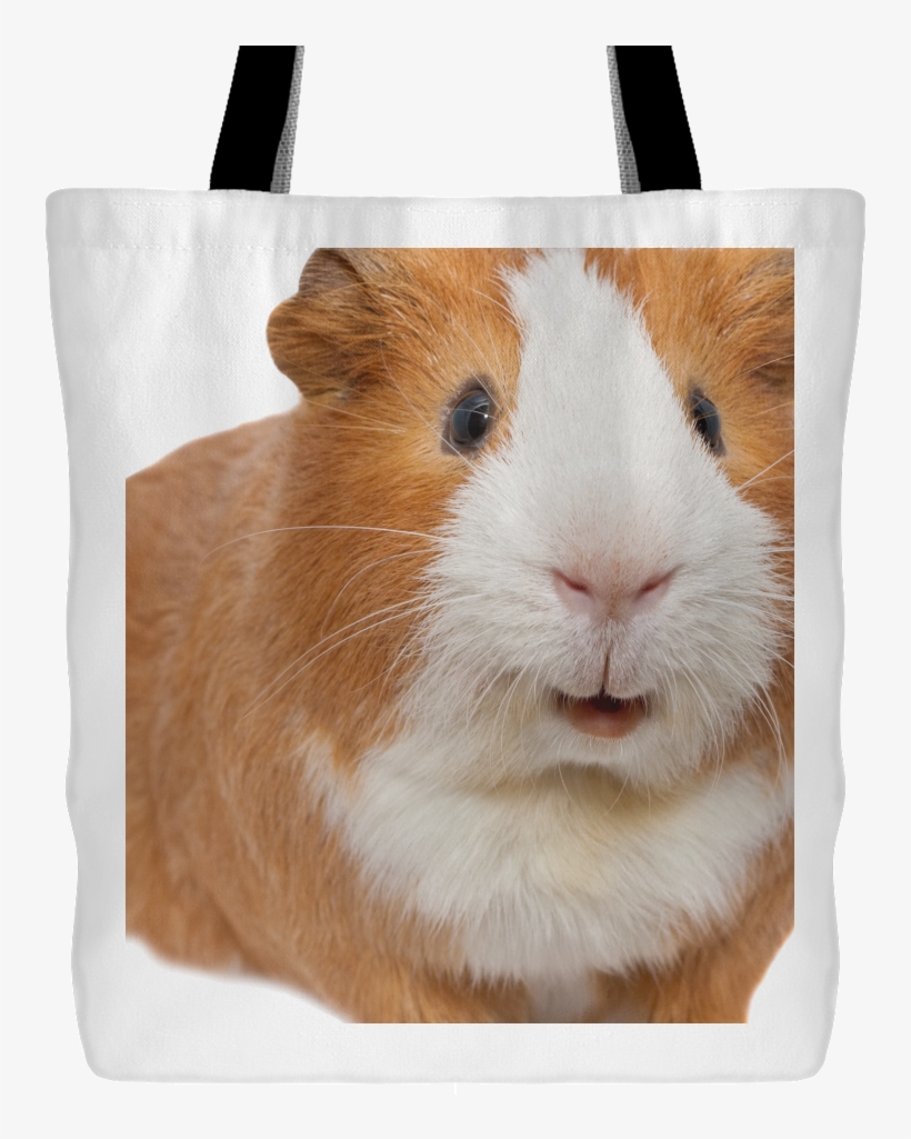 Guinea Pig Tote Bag - Guinea Pig Destiny 2, transparent png