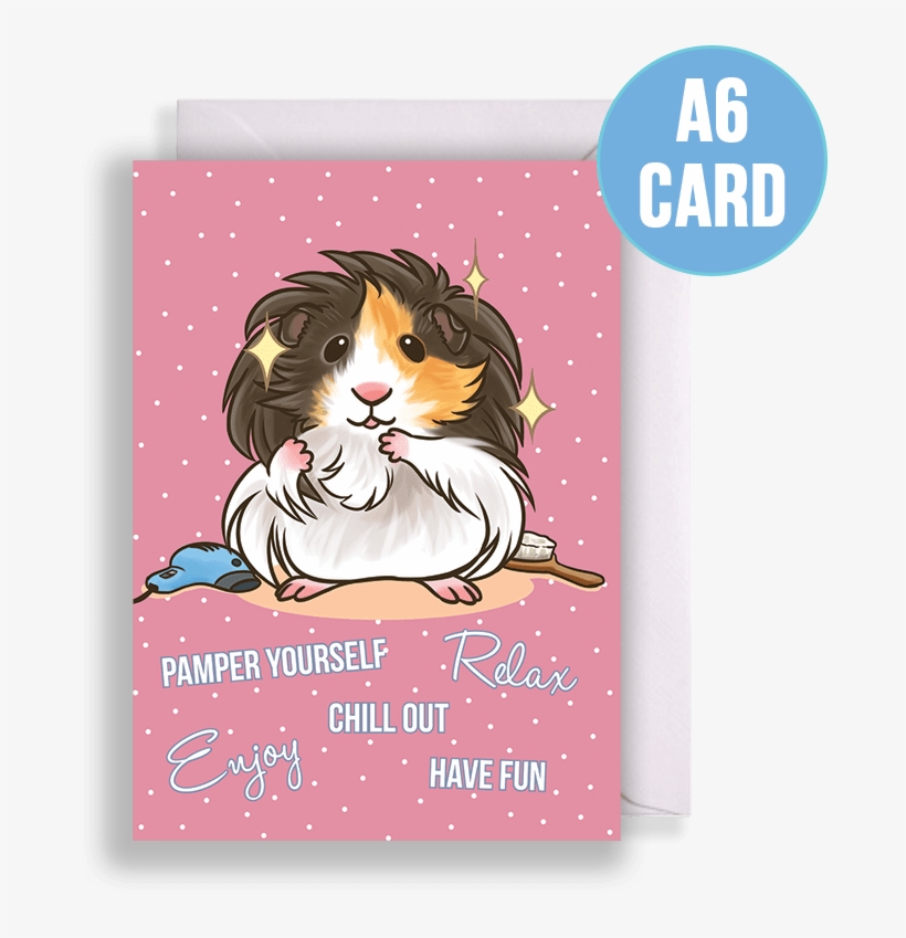 Longhaired Guinea Pig Being Pampered Birthday & Other - Guinea Pig, transparent png