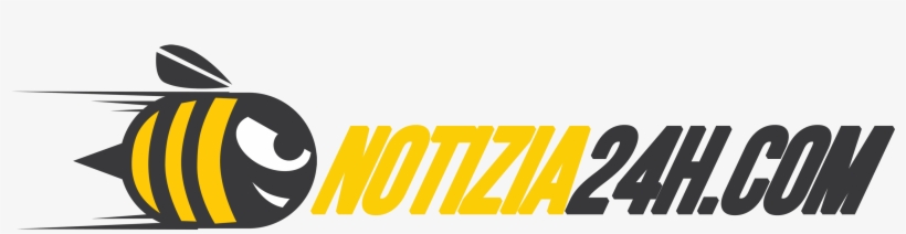 Home Default Quanto È Alto L'attore Di Hagrid, transparent png