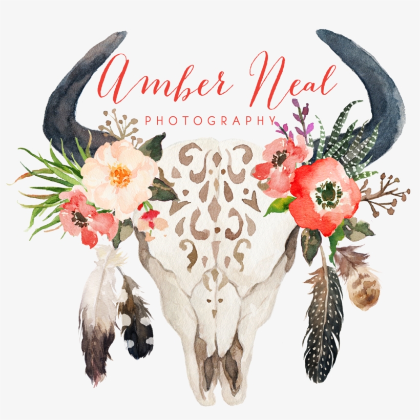 Skull Logo - Cow Skull With Flowers And Feathers, transparent png