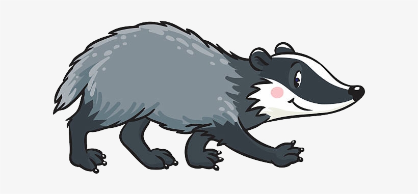 Badger Clipart, transparent png