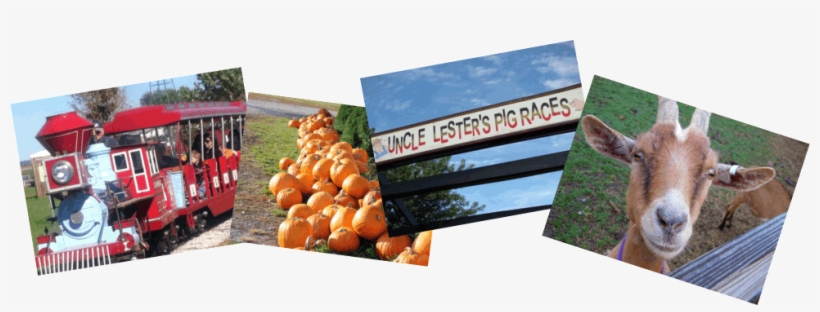 Signage, transparent png