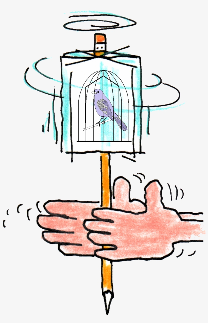 Spinning Illusions - Spinning Bird Illusion, transparent png