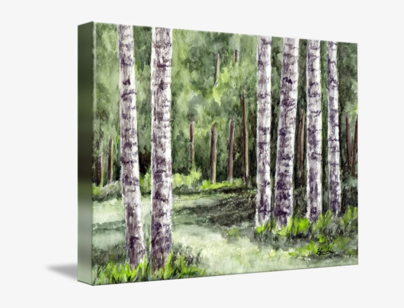 Birch Tree Watercolor Landscape - Watercolor Painting, transparent png