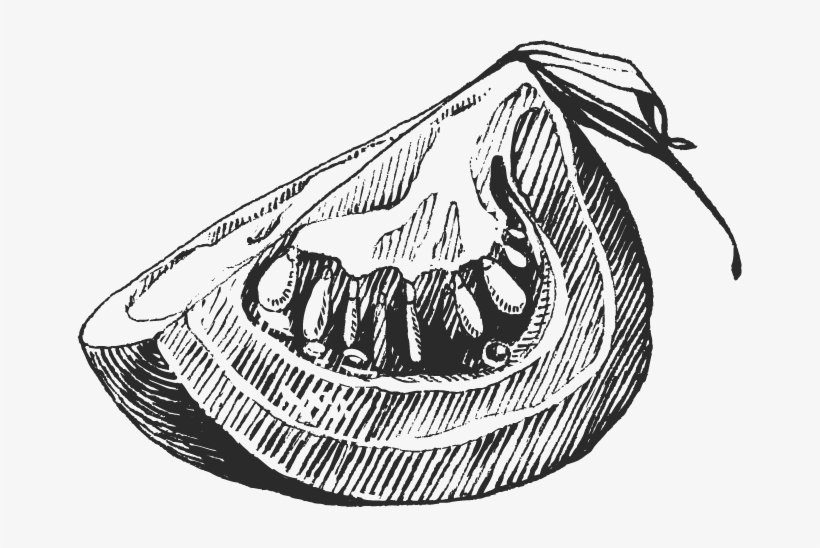 Drawing Vegetable Cherry Tomatosketch - Vegetable Sketch Png, transparent png