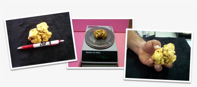 Gold Nugget Found With Gpx - French Fries, transparent png