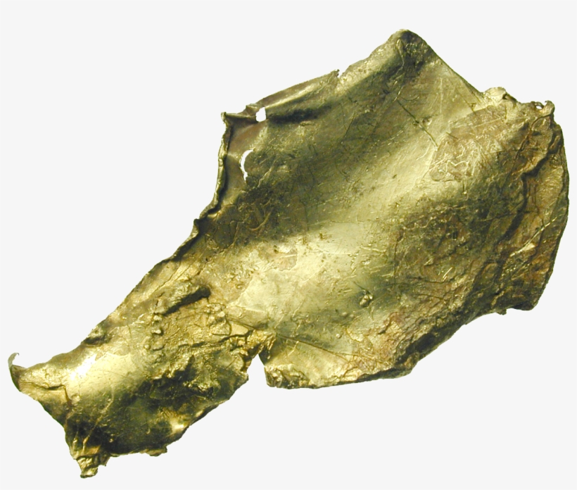 Rhode Island Creek, Manley Hot Springs, Gold Nugget - Fish, transparent png