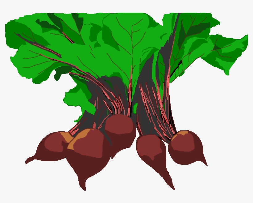 Free Vegetable Garden Clip Art - Beet Greens, transparent png