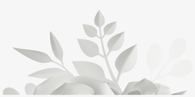 Giset Wedding, Invitaciones De Boda, Diseño De Boda - Magnolia, transparent png