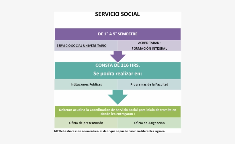 Serviciosocial-0 - Colorfulness, transparent png