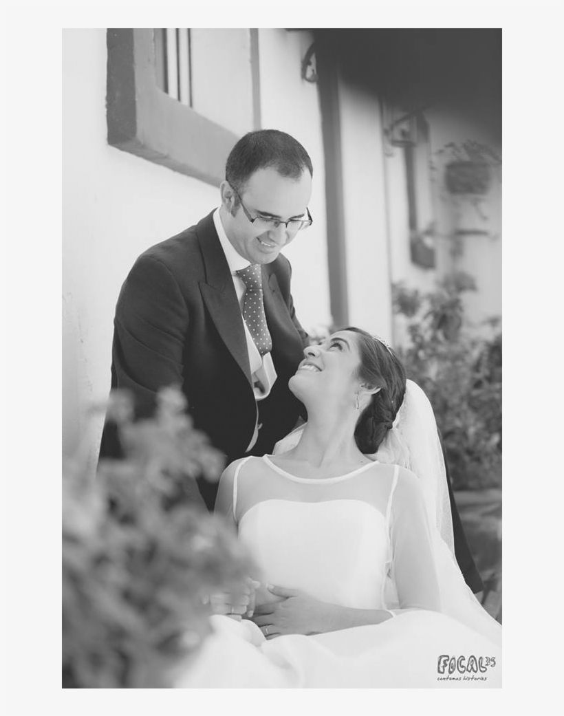 Boda Chipi - Photograph, transparent png