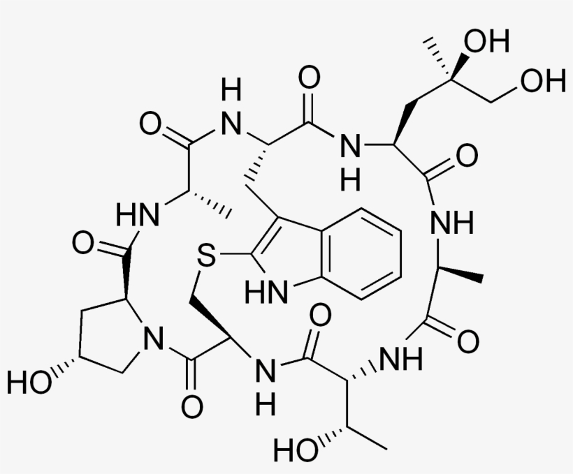 Phalloidin, transparent png