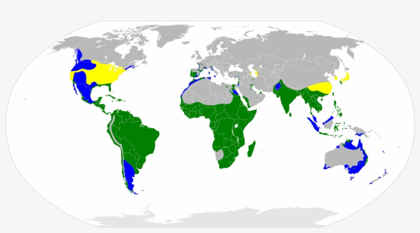 Countries In The World That Drive, transparent png