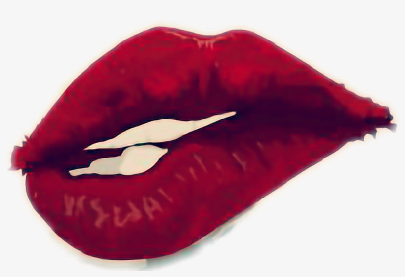 Boca Sticker - Songbird, transparent png