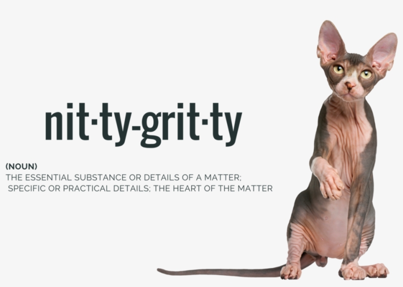Where Theres Hair - Sphynx, transparent png