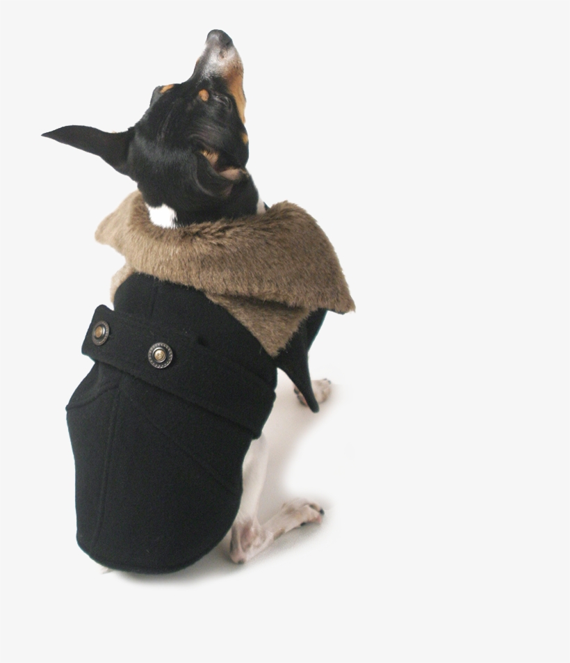 Bentley Cape Coat, transparent png