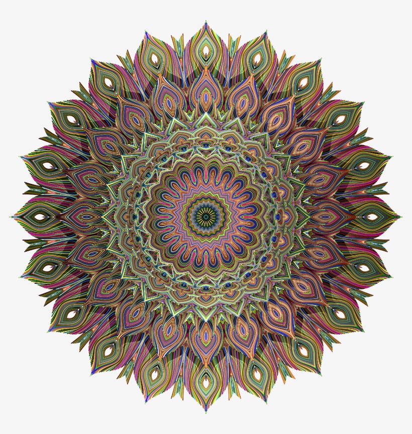 Peacocks Pride - Rainbow, transparent png