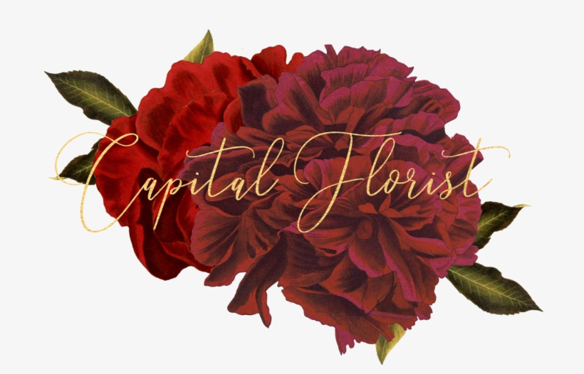 Diy Wedding Flower Tips Transparent Background - Hybrid Tea Rose, transparent png