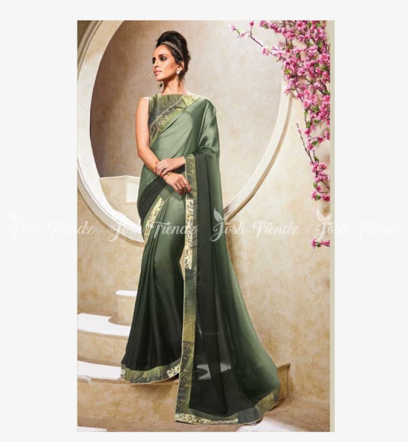 Sari, transparent png