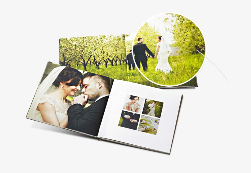 Chemistry Of Delight - Examples Of Adorama Photo Book, transparent png