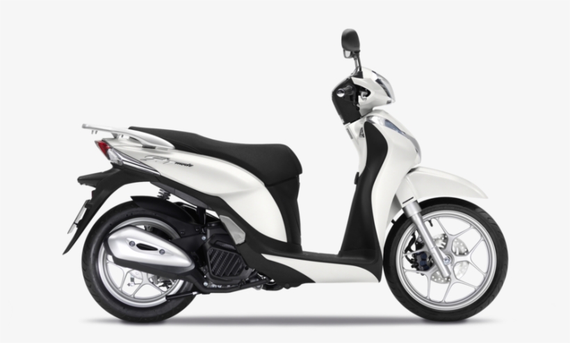 A Chic Companion - Bảng Màu Xe Sh Mode 2017, transparent png